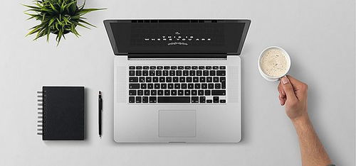 全国计算机专业大学排名与企业网页设计 趋势与关联